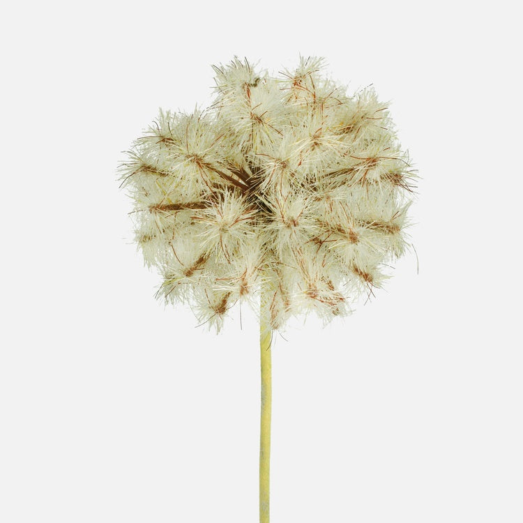 Pruun võilill kunstlill 50 cm - Kunstlilled