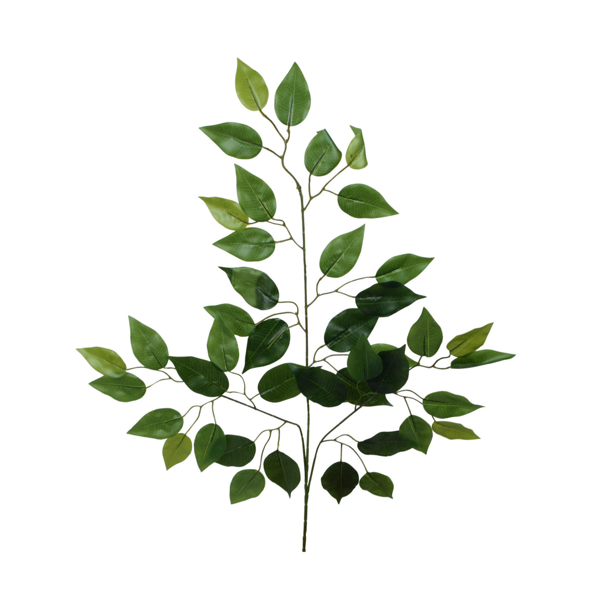 Fiikus – koristeoksa, kumipinta, 66 cm
