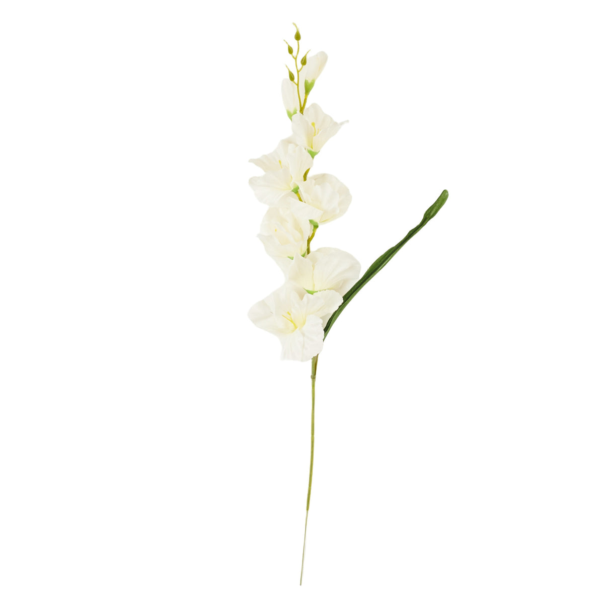 Kermanvärinen gladiolus – tekokukka