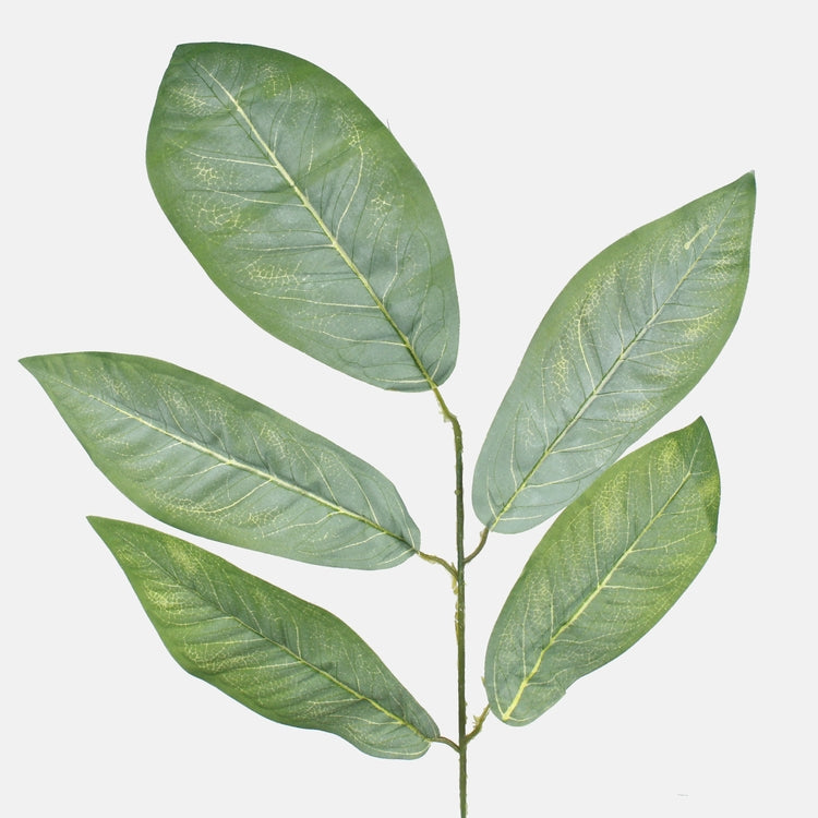 Kroto kunstleheoksa roheline 57 cm - Kunstlilled