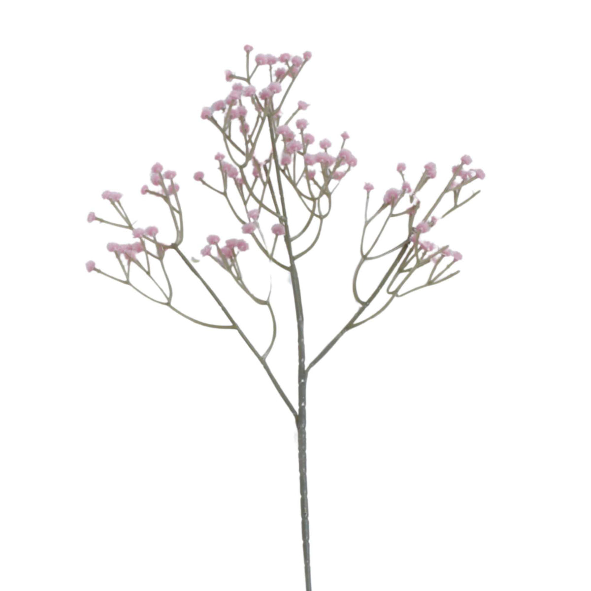 Morsiusharso – koristeoksa, 60 cm