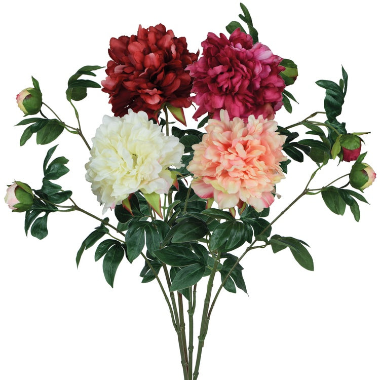 Pojengi kunstlill juhuslik värv 65 cm - Kunstlilled