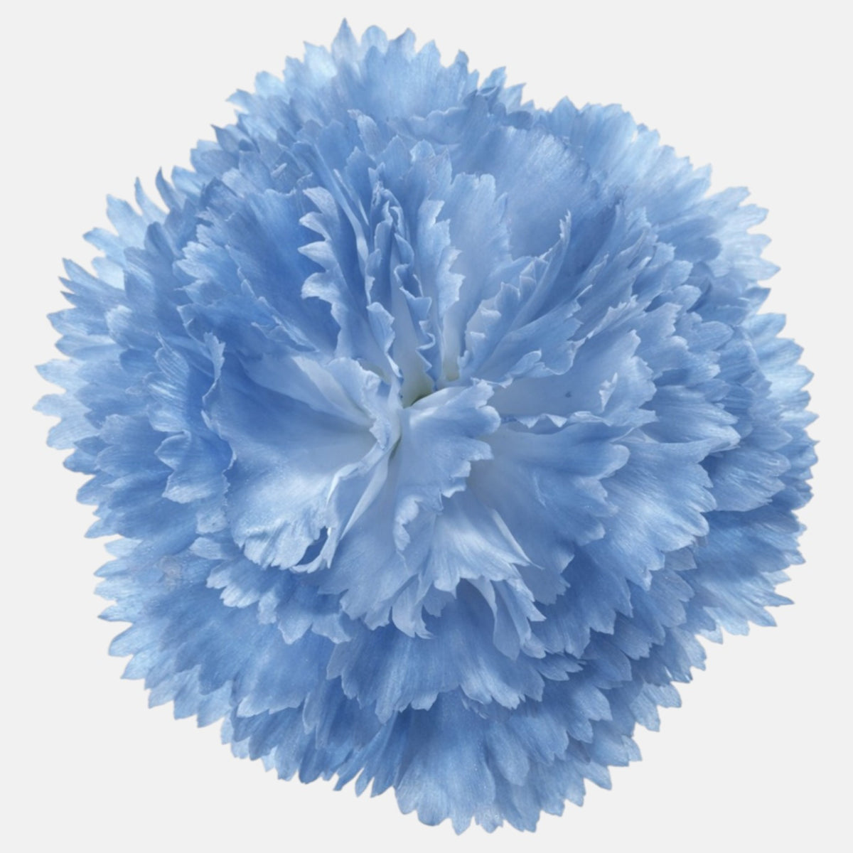Sininen/valkoinen tekoneilikan kukkapää, 9 cm