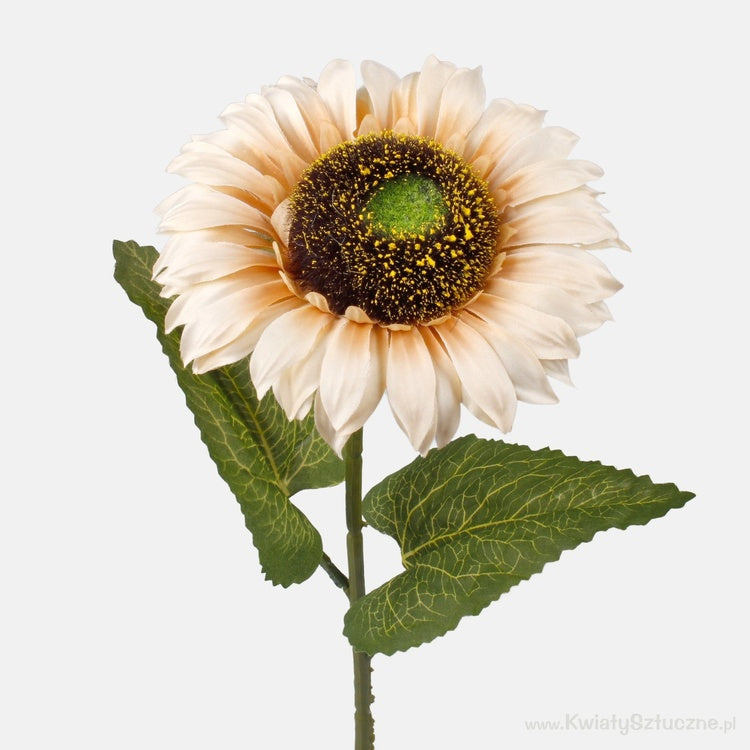Kreemjas päevalill kunstlill 60 cm - Kunstlilled