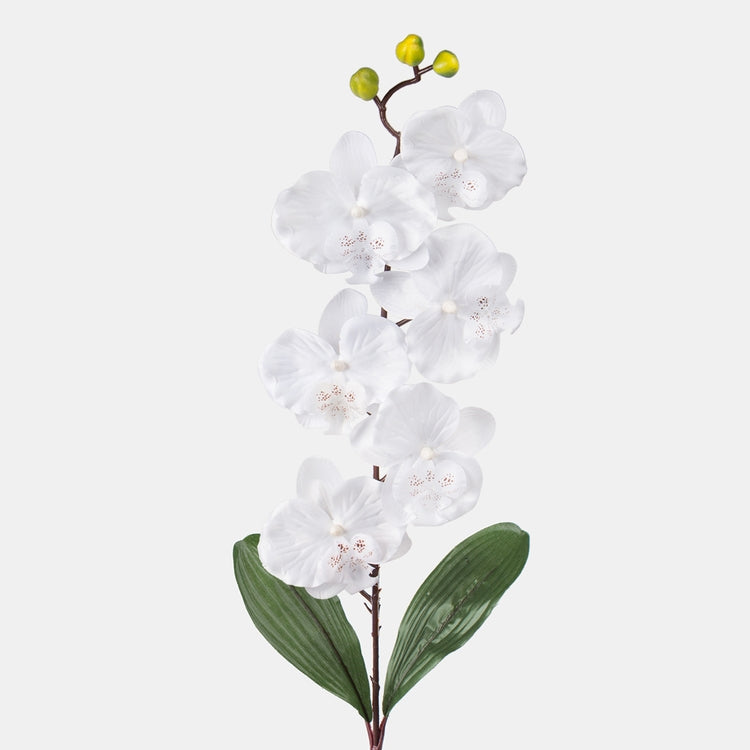 Valge orhidee kunstlill 78 cm - Kunstlilled