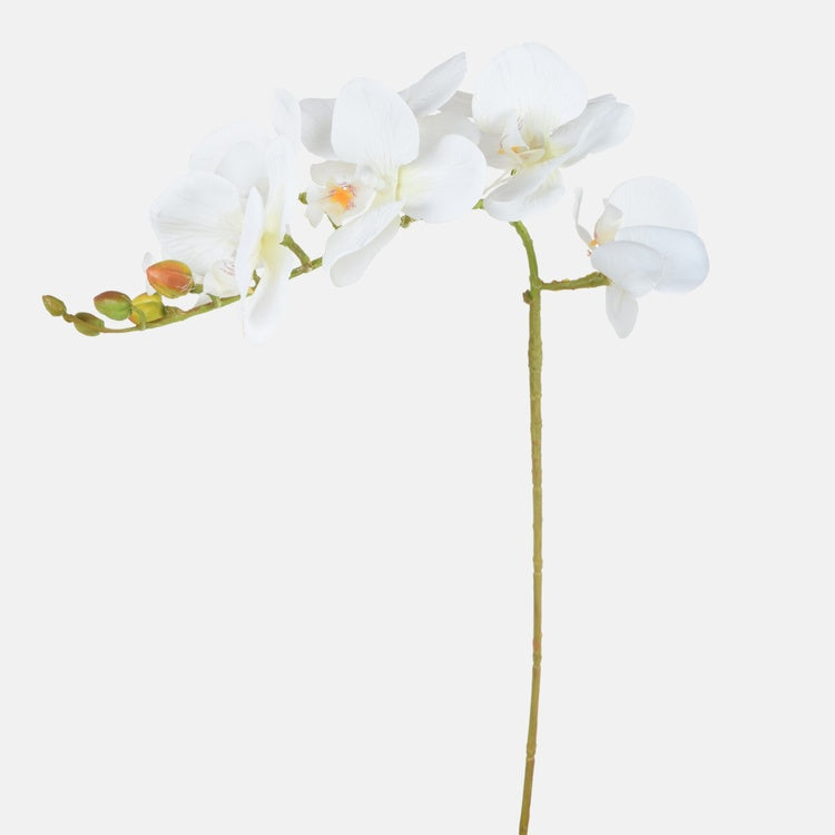 Valge orhidee kunstlill 79 cm - Kunstlilled