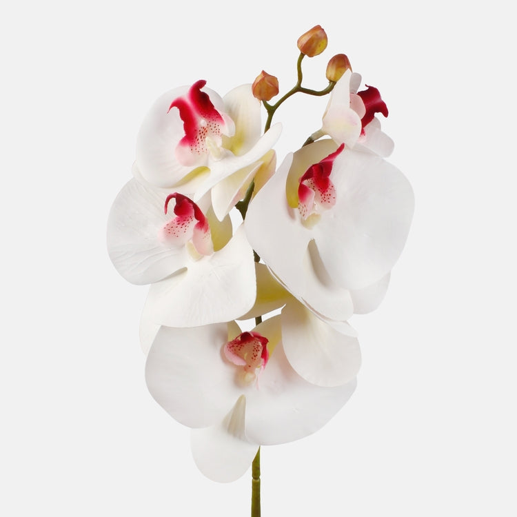 Kreemjas orhidee kunstlill 90 cm - Kunstlilled