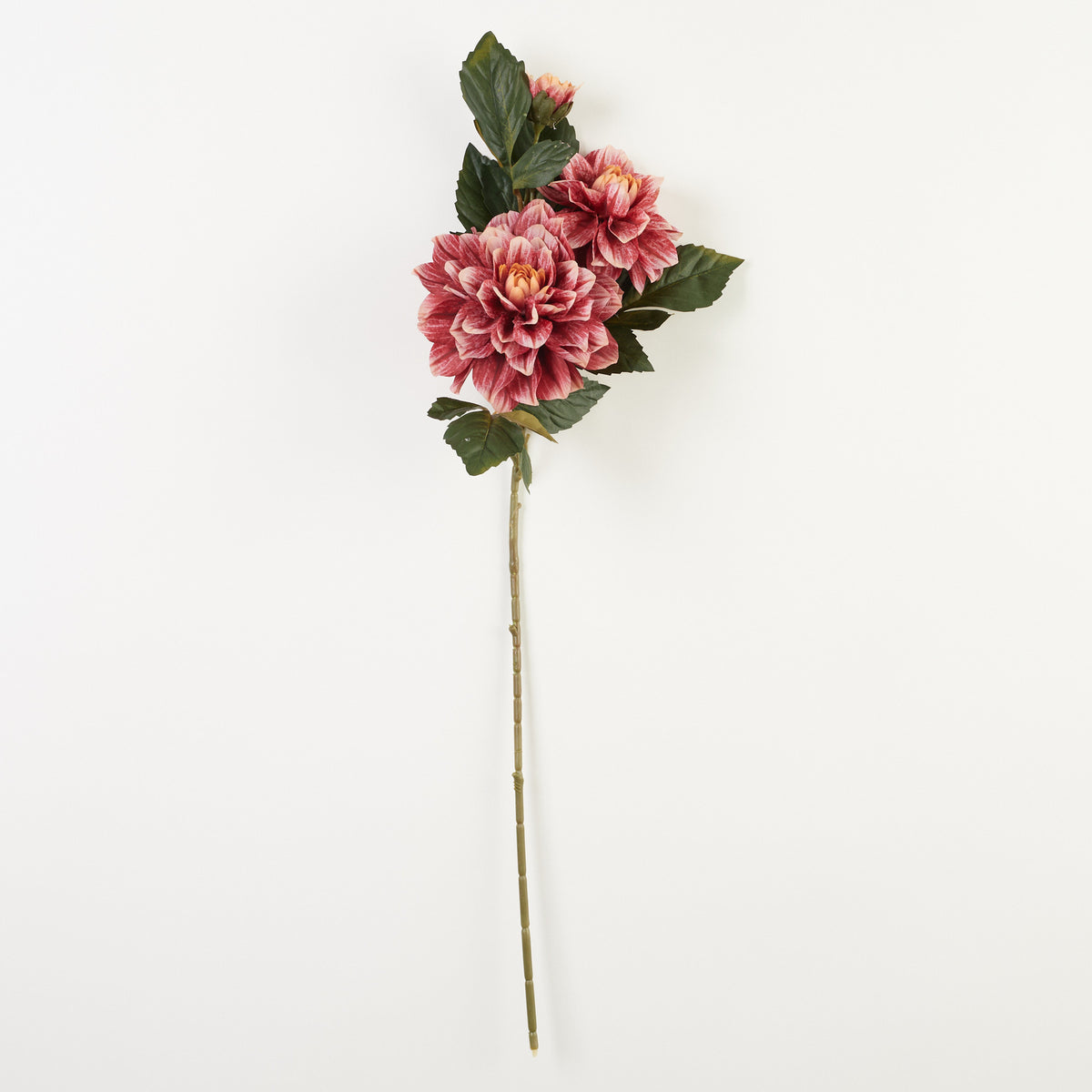 Tekodaalian kukkavarsi