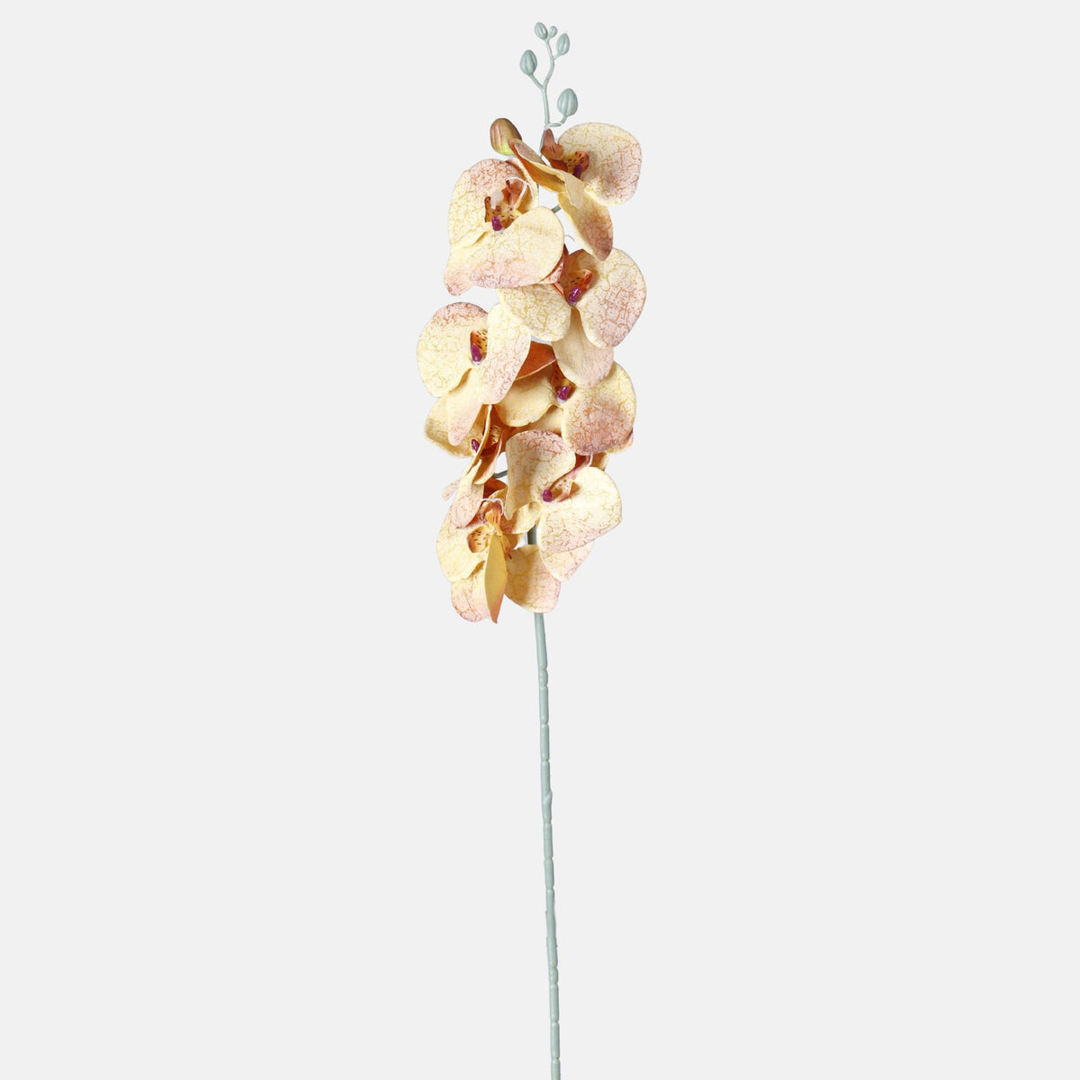 Tekoorkidean kukkavarsi, 91 cm