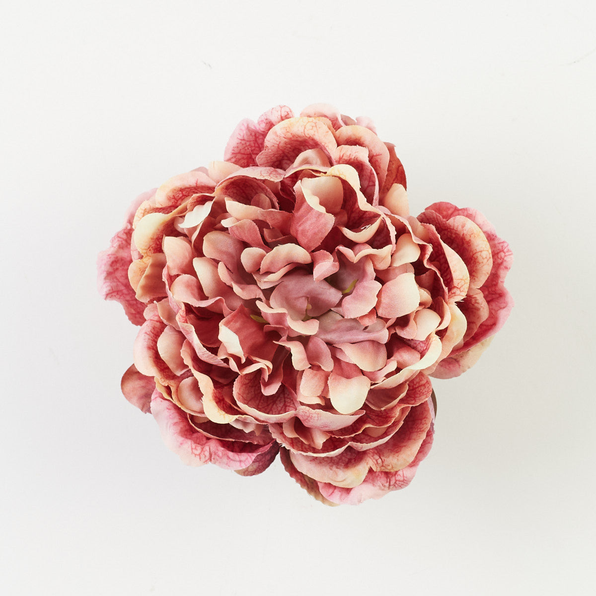 Tekopionin kukkapää, 7 cm
