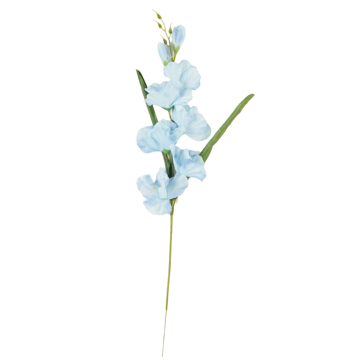 Tumma sininen gladiolus – tekokukka