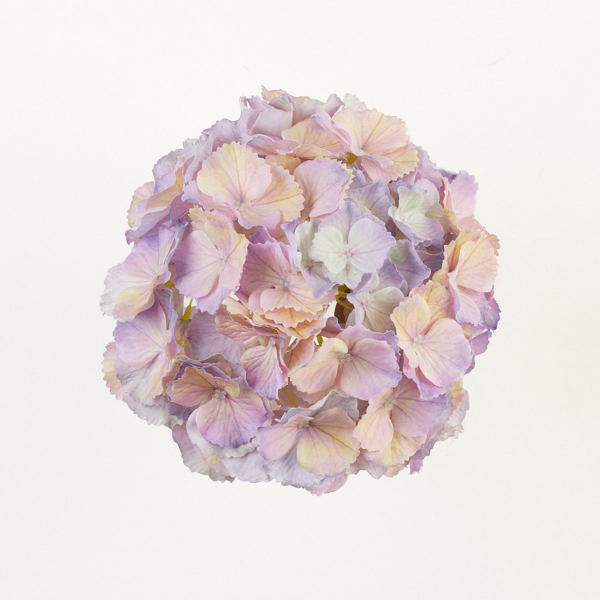 Vaalea/violetti/liila/sininen tekohortensian kukkapää, 21 cm