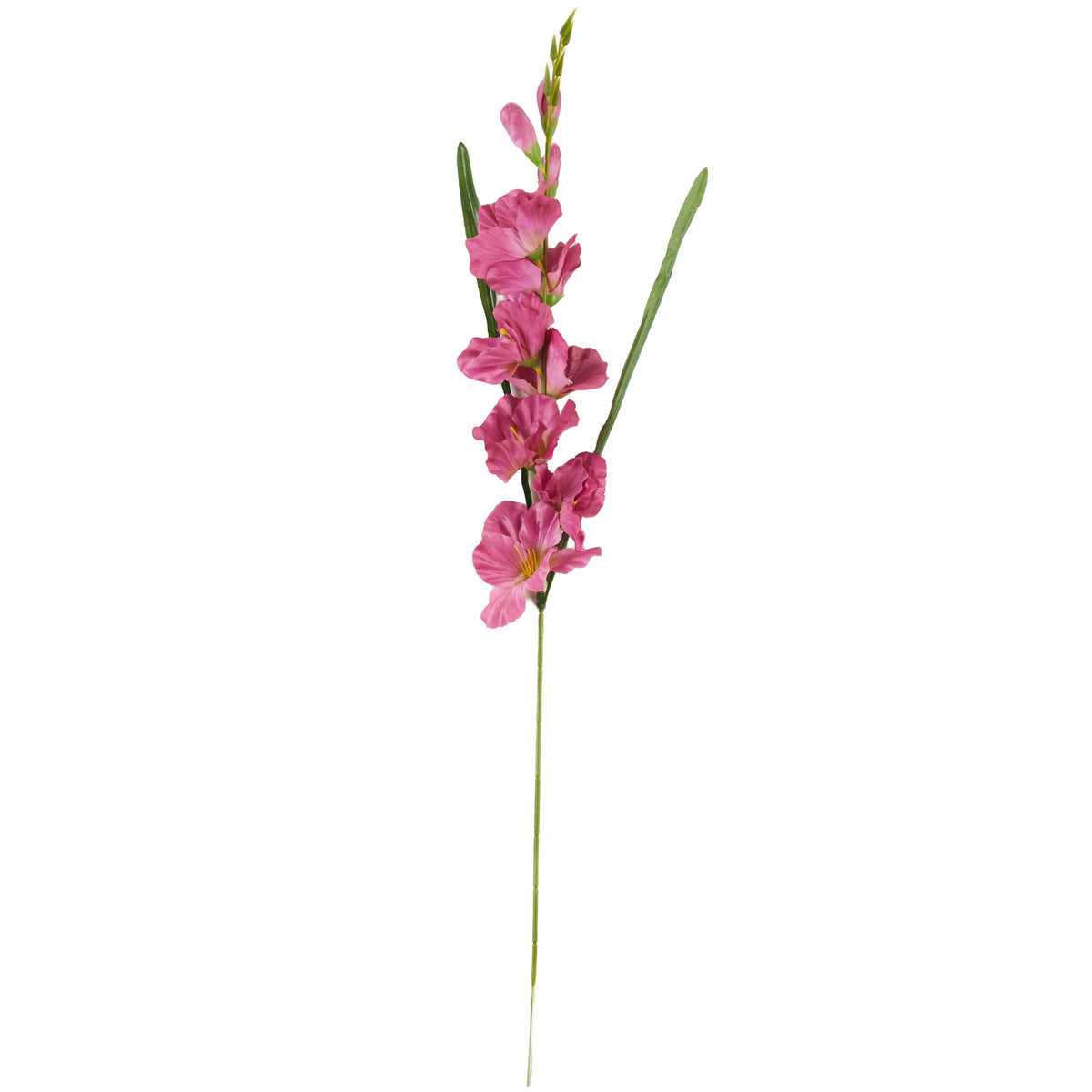 Vaaleanpunainen gladiolus – tekokukka