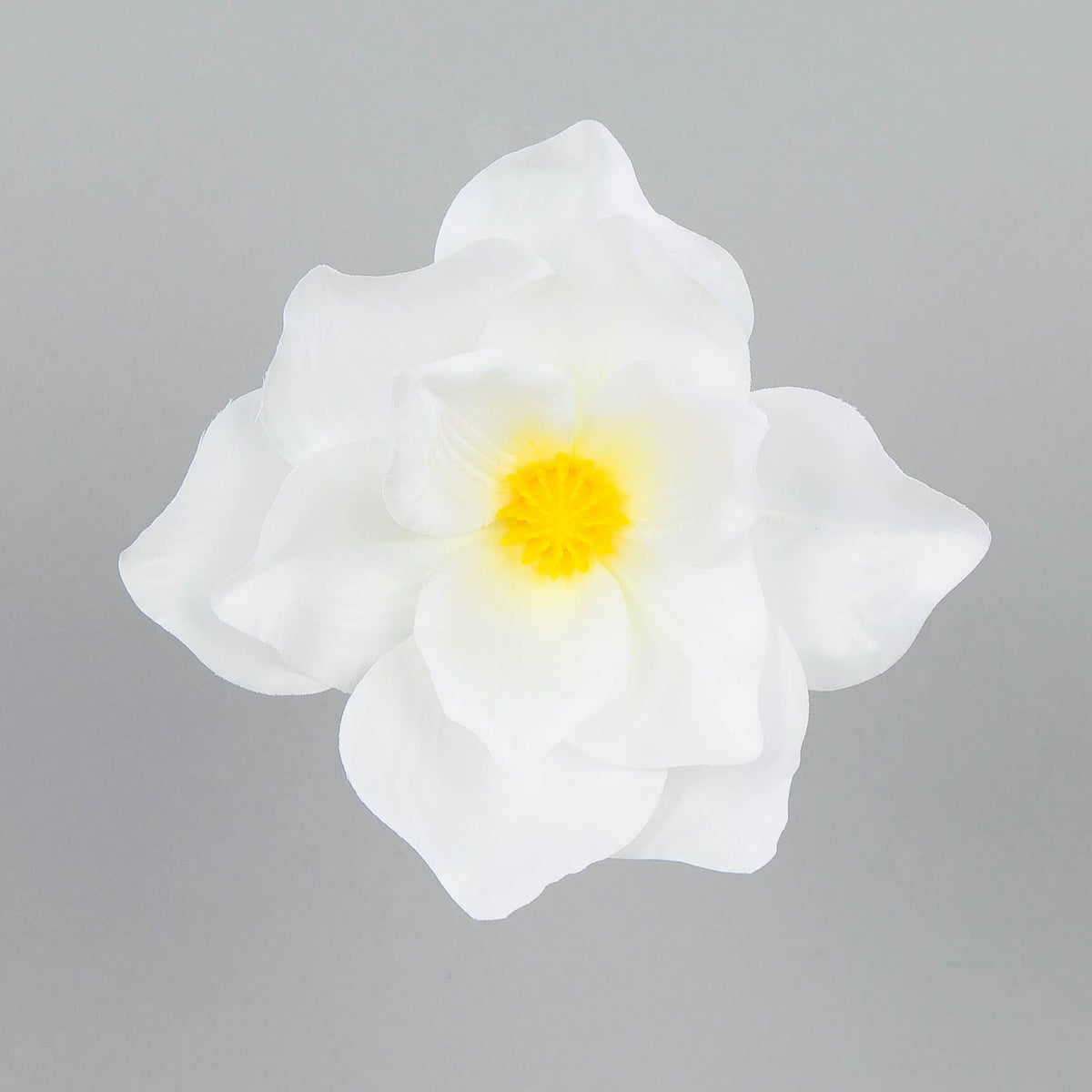 Valkoinen magnolia – tekokukkapää, 6 cm, 12 kpl