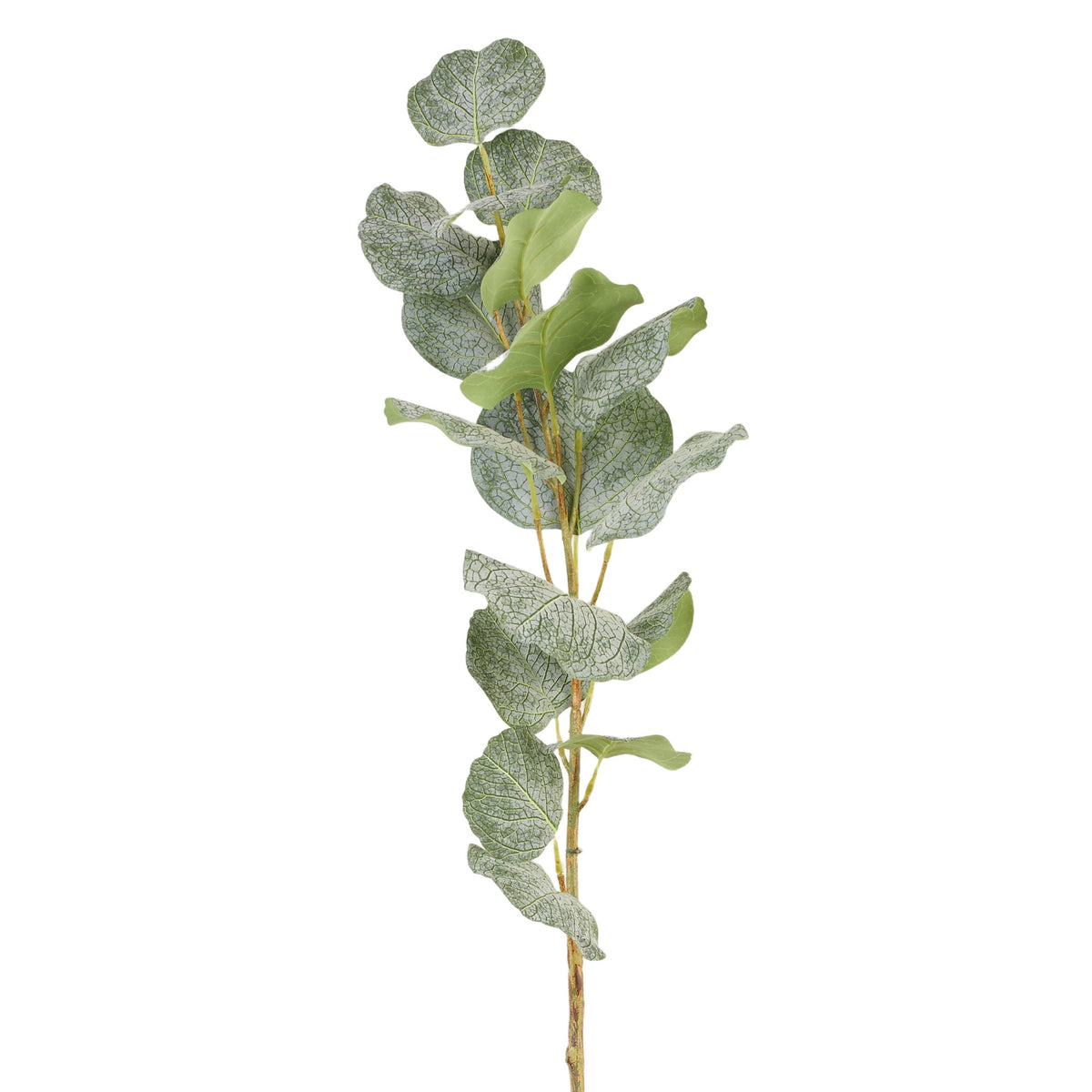 Vihreä koristeoksa, 90 cm