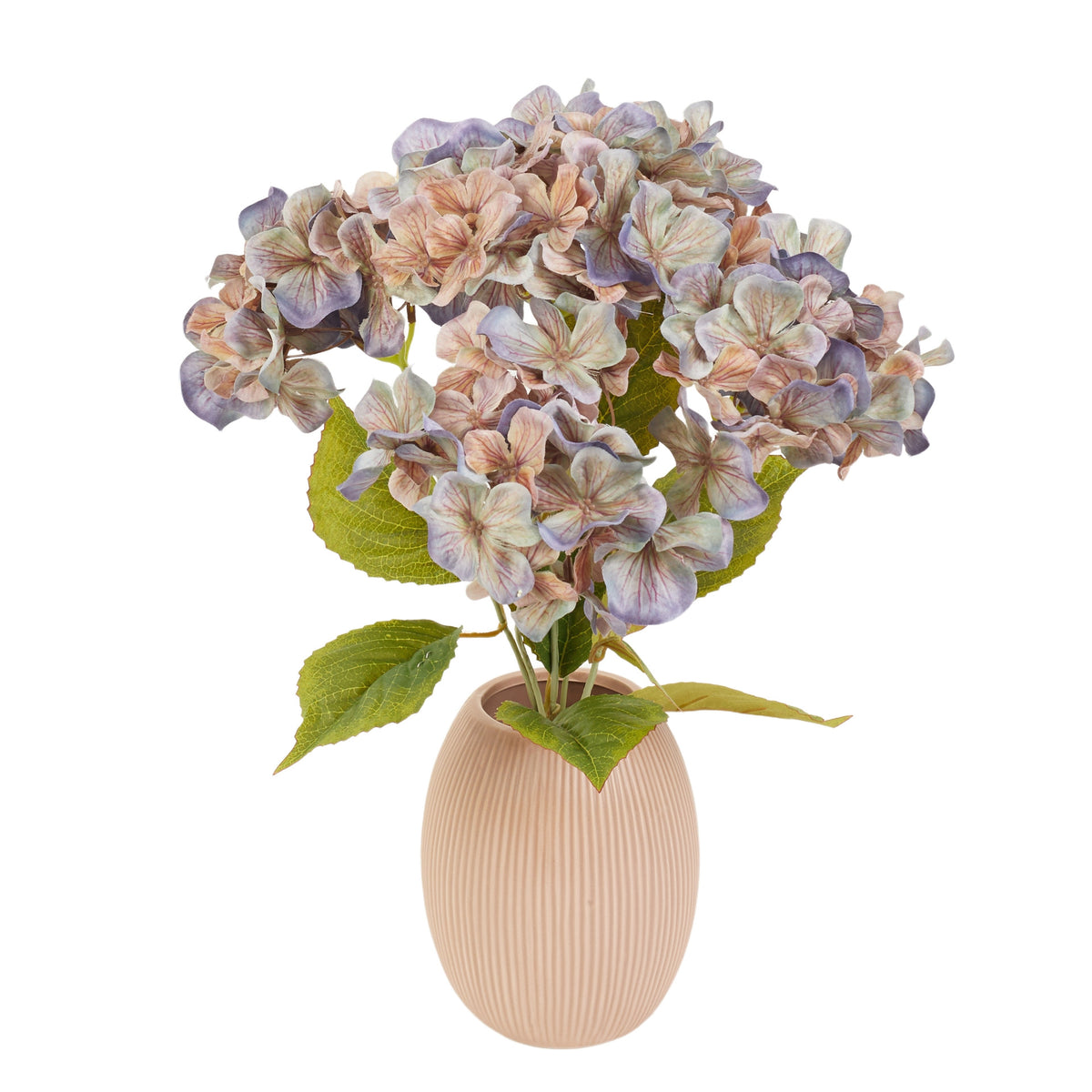 Violetti ruskea tekohortensian kimppu