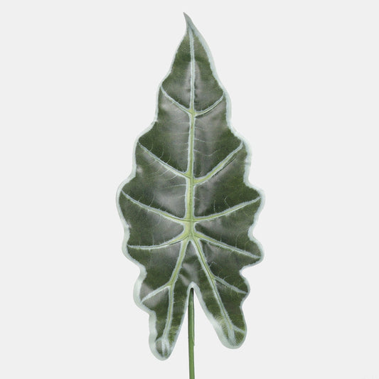 Alokasia kunstlehtroheline 56 cm - Kunstlilled