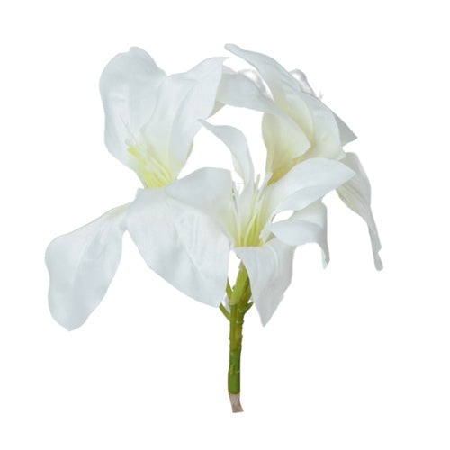 Valge amarüllise kunstlillepea Ø16 cm - Kunstlilled