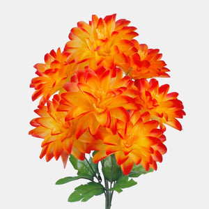 Oranž/punane