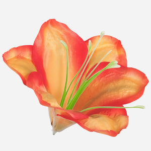 Oranž