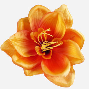 Oranž