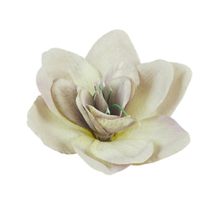 Harmaanbeige amarylliksen kukkapää Ø16 cm