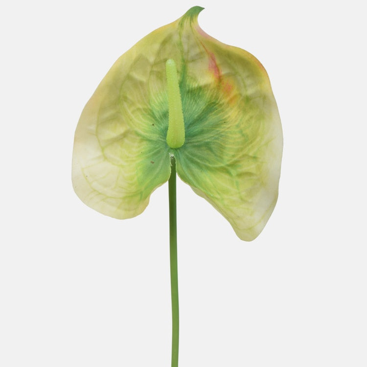 Roheline antuuriumi kunstlill 65 cm - Kunstlilled
