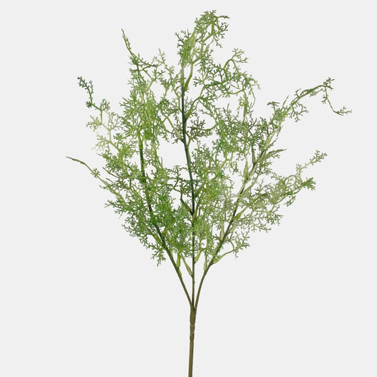 Vihreä asparaguksen tekokasvin oksa 70 cm - Tekokukat