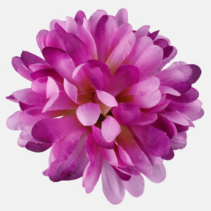 Violetti
