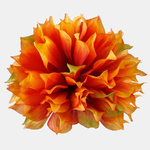 Oranž