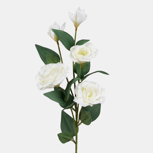 Kreemjas värvi eustoma kunstlill 70 cm - Kunstlilled