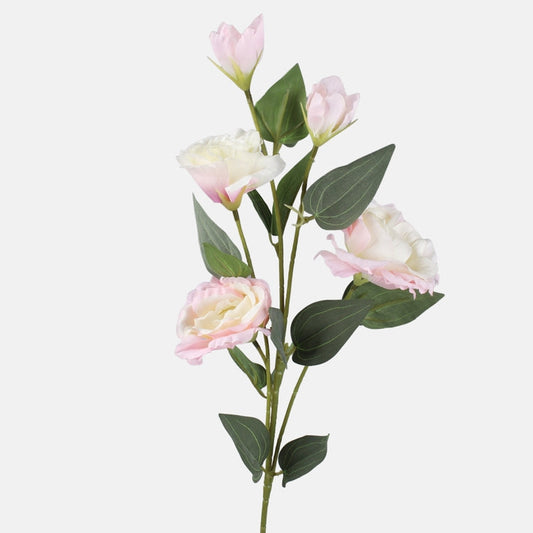 Kreemjas-roosa eustoma kunstlill 70 cm - Kunstlilled