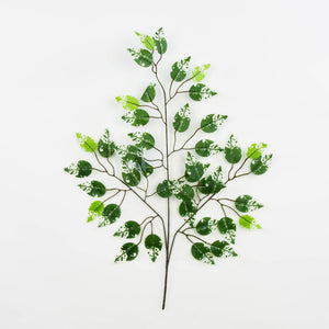 Tekofiikusoksa 60 cm, pienet vihreät lehdet