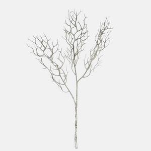 Hopea