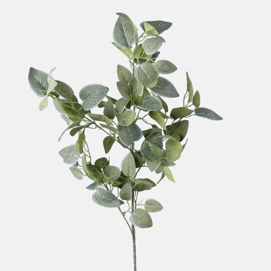 Tummanvihreä fittonia tekokasvin oksa 102 cm - Tekokukat