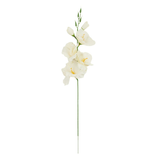Gladiolus – tekokukka