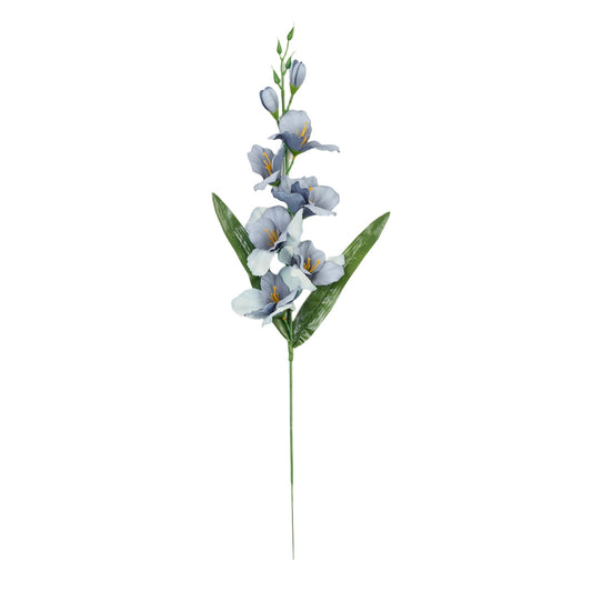 Gladiolus – tekokukka