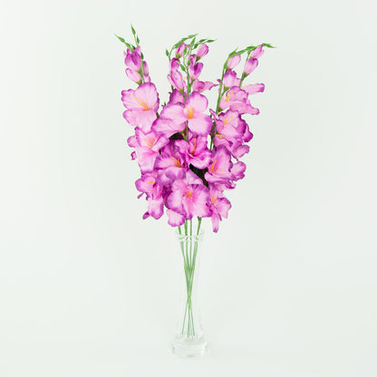 Gladiolus – tekokukka, satiini