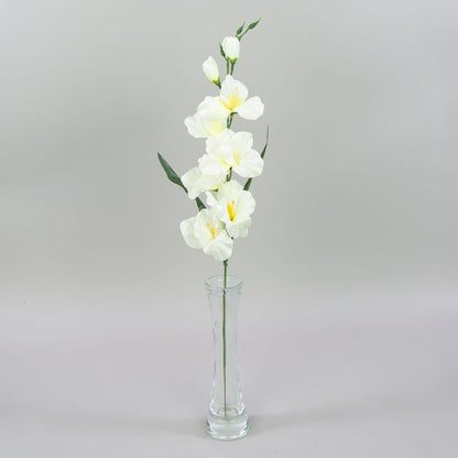 Gladiolus – tekokukka, satiini