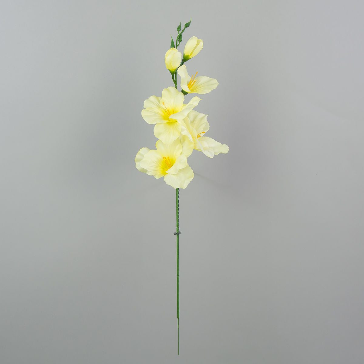 Gladiolus – tekokukka, satiini, 12 kpl