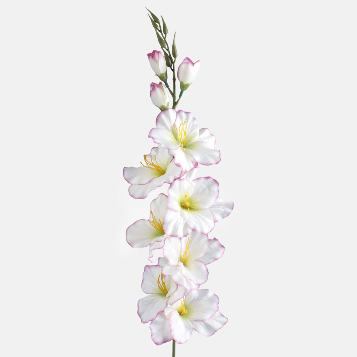 Gladiolus – tekokukka, satiini, 80 cm