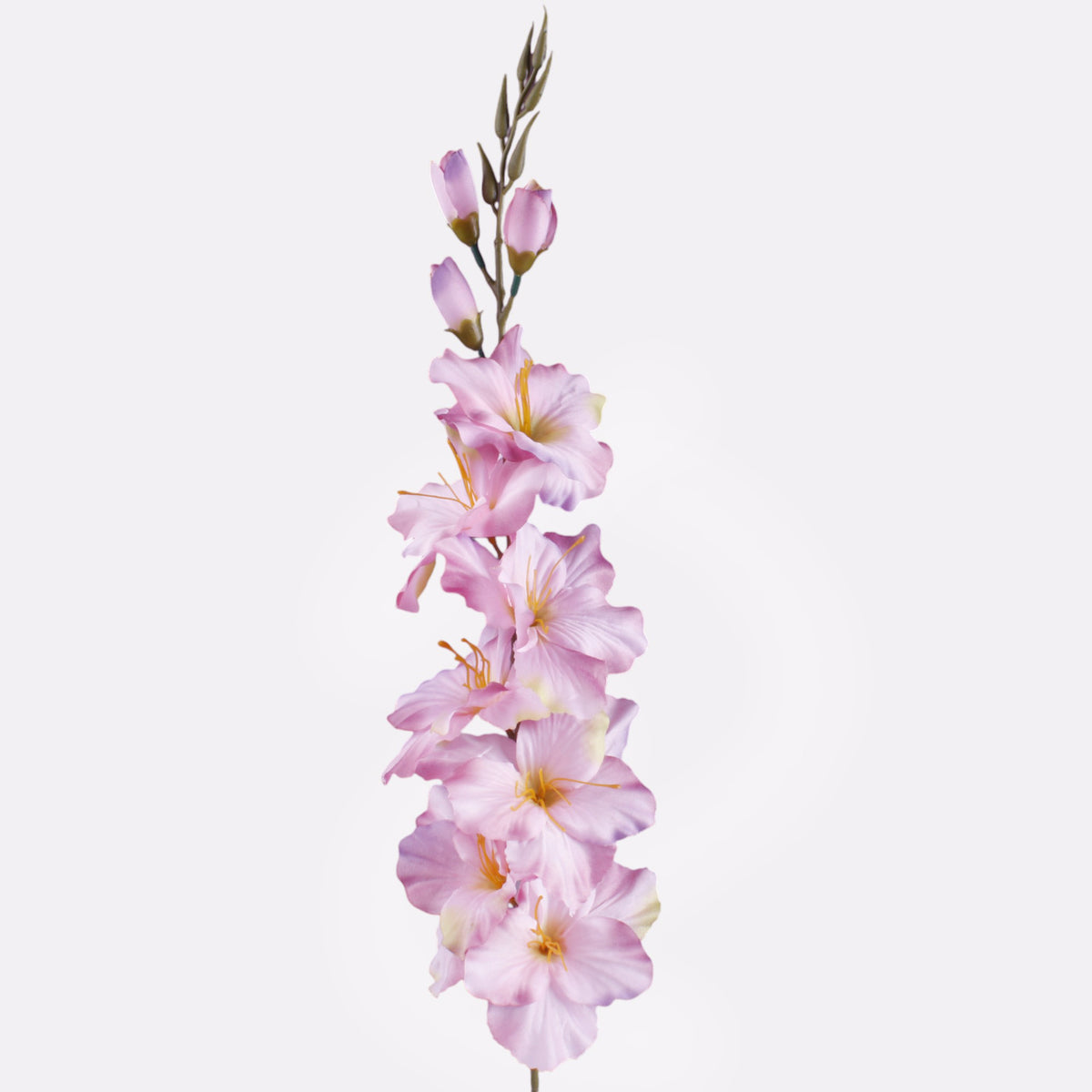 Gladiolus – tekokukka, satiini, 80 cm