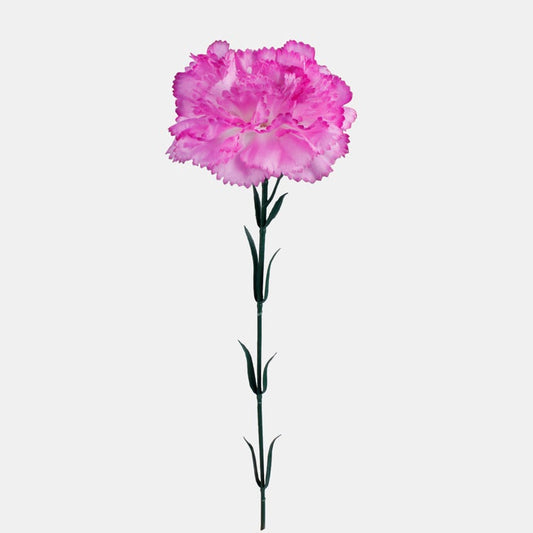 Valge-lilla nelk kunstlill 50 cm - Kunstlilled
