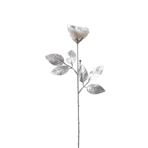 Hopea