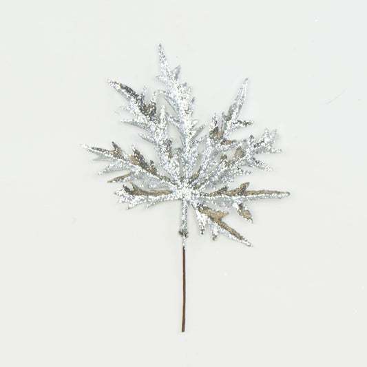 Hopeanvärinen vaahtera – koristeoksa, kimalle, 20 cm