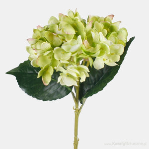 Heleroheline