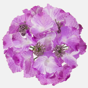 Helelilla