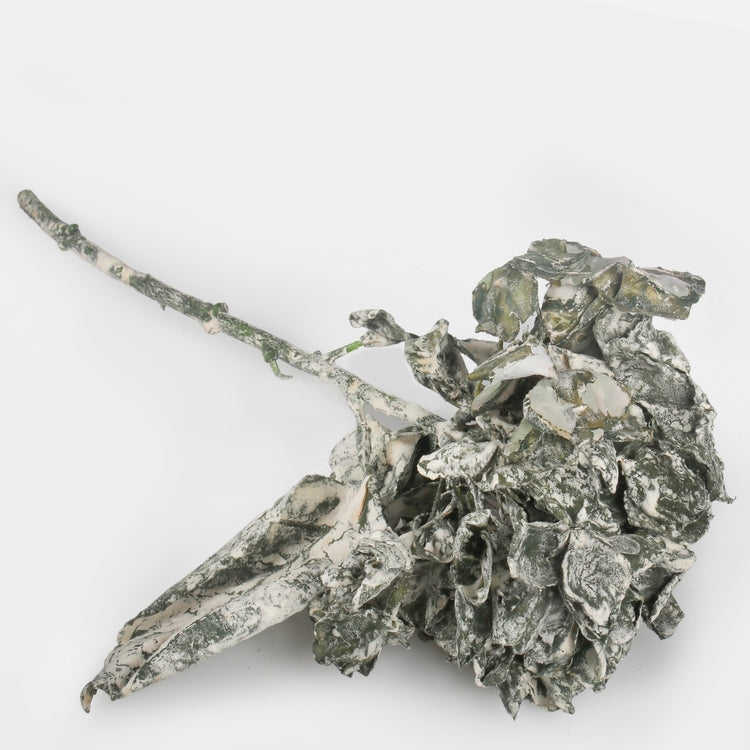 Roheline hortensia kunstlill 34 cm - Kunstlilled