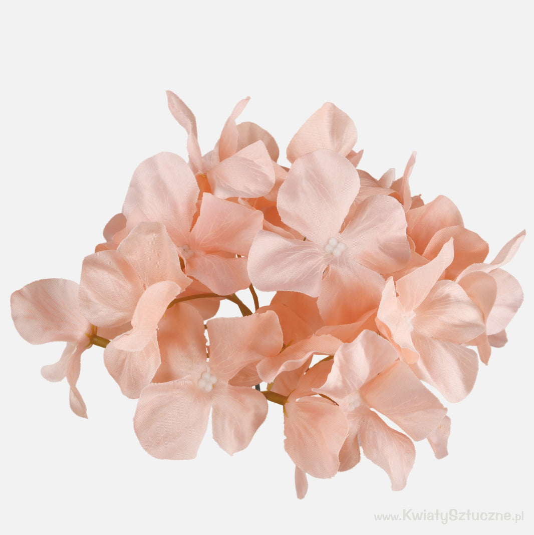 Hortensia kukkapää