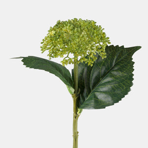 Roheline